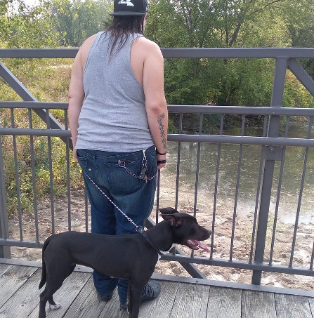 Lindsay's Pet Care, LLC